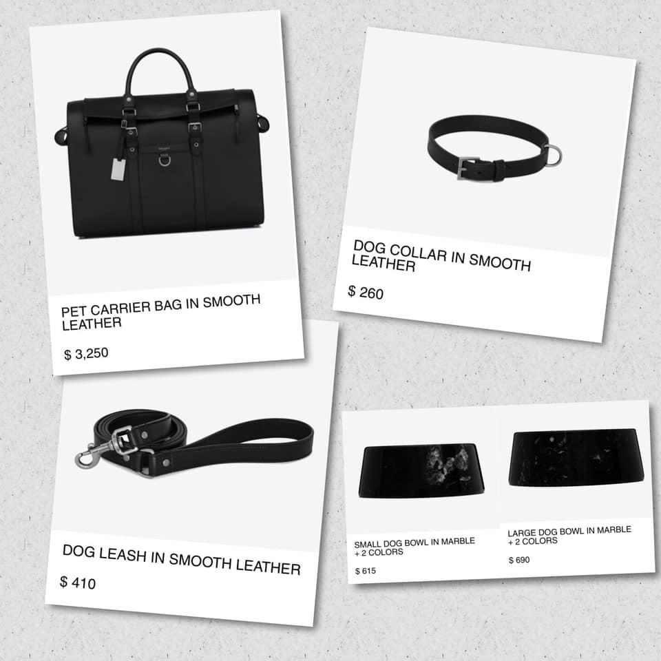 Cún cưng của BLACKPINK Rosé xài hàng hiệu trăm triệu, Instagram 700k follower-5