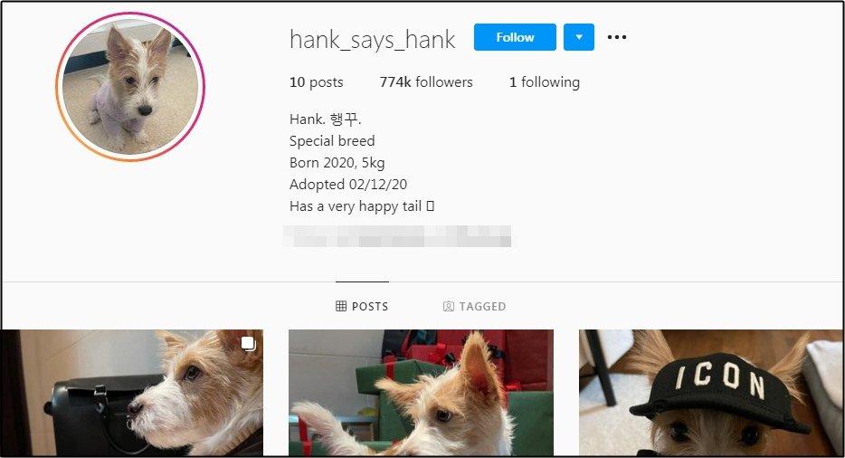 Cún cưng của BLACKPINK Rosé xài hàng hiệu trăm triệu, Instagram 700k follower-6