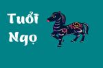 Tử vi người tuổi Ngọ năm 2021: Biến động nhiều nhưng thành công không ít