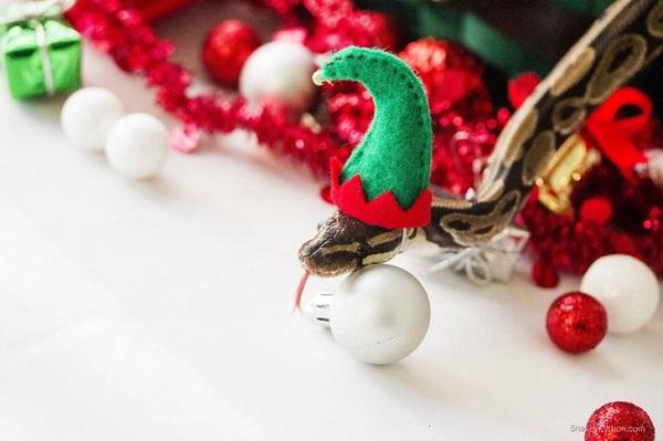 Giáng sinh đến, món quà mà 12 con giáp mong muốn nhận được là gì?-2