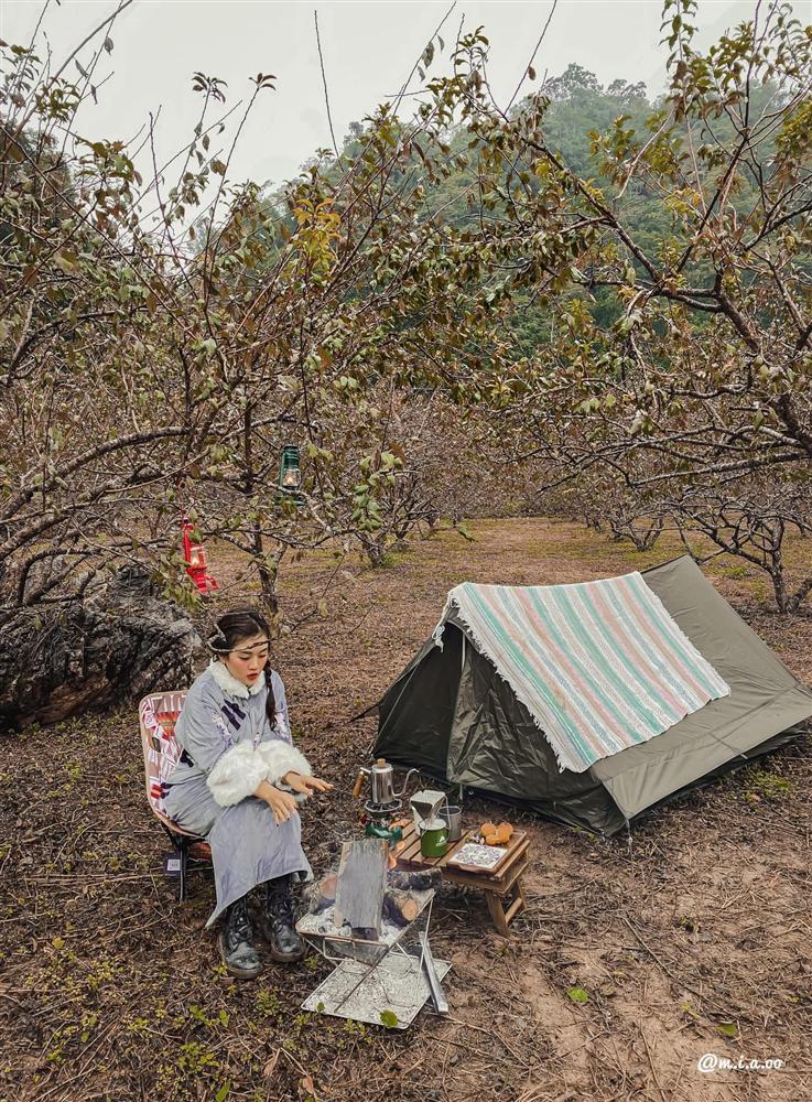 Tìm chốn yên bình ở 3 khu cắm trại giữa rừng với view siêu đẹp-14