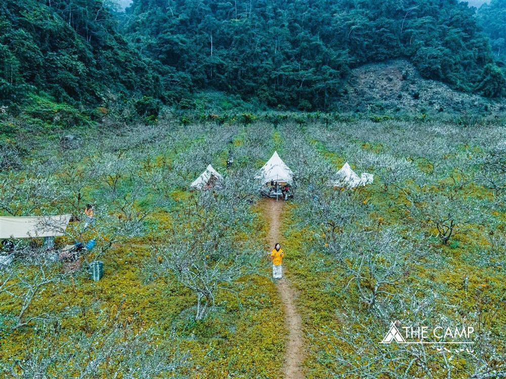 Tìm chốn yên bình ở 3 khu cắm trại giữa rừng với view siêu đẹp-16