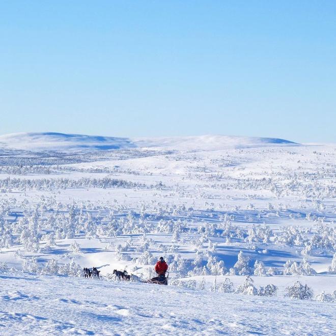 Giáng sinh ảm đạm tại quê hương ông già Noel-1