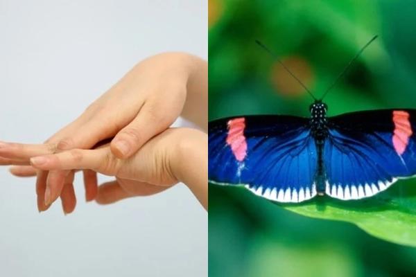 Tử vi người tuổi Mùi năm 2021: Vận khí biến động mạnh, hung vận lấn át cát vận-5