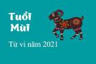 Tử vi người tuổi Mùi năm 2021: Vận khí biến động mạnh, hung vận lấn át cát vận