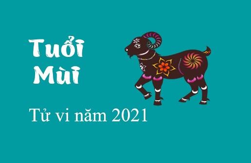 Tử vi người tuổi Mùi năm 2021: Vận khí biến động mạnh, hung vận lấn át cát vận-1