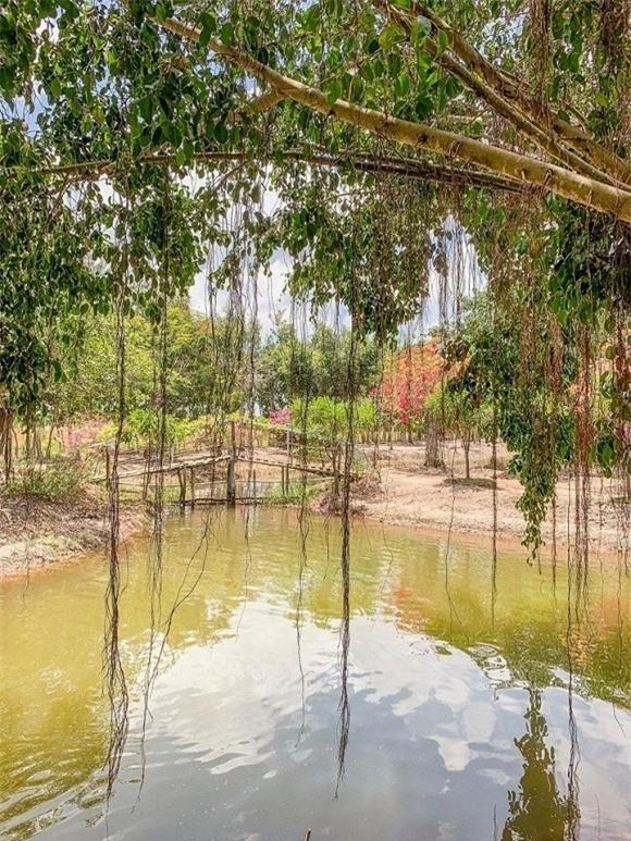 Khám phá bên trong biệt thự khủng của sao nữ đóng cảnh nóng 8 tiếng-25