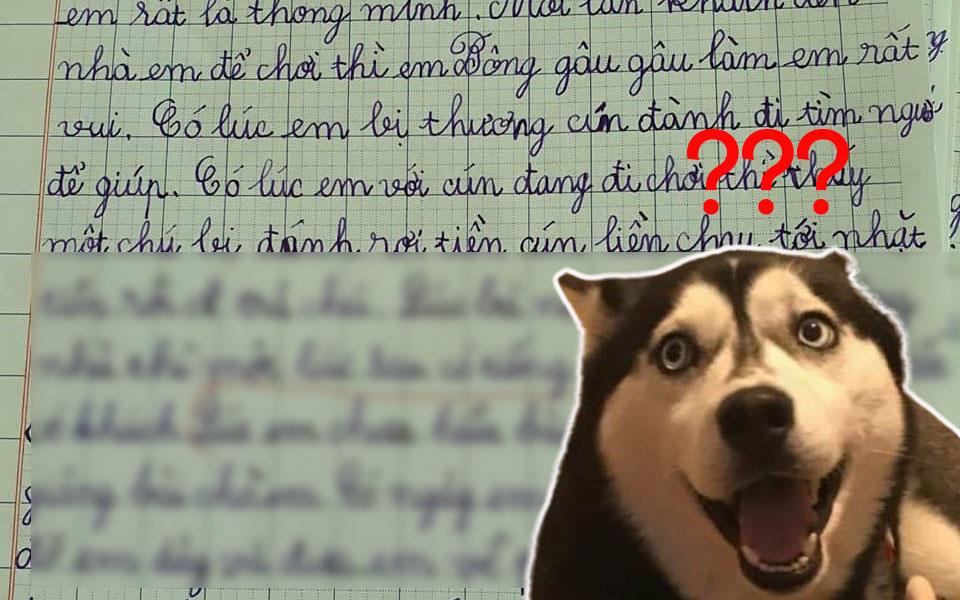 Nhóc tiểu học tả cún cưng, cư dân mạng đọc xong ôm bụng cười lăn lóc-1