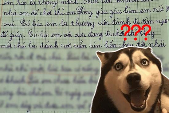 Nhóc tiểu học tả cún cưng, cư dân mạng đọc xong ôm bụng cười lăn lóc