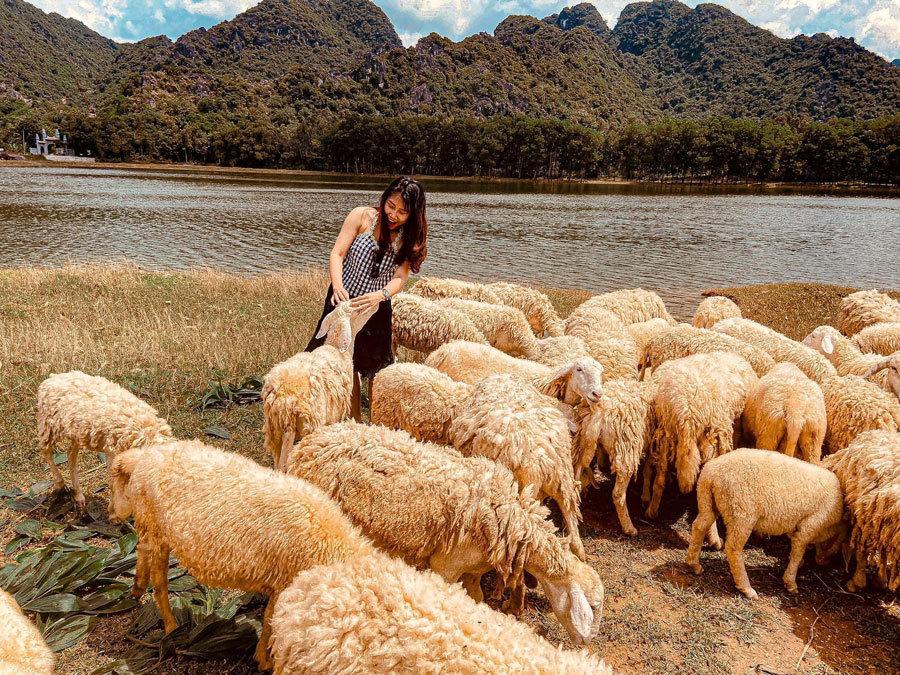 Hang Múa, địa điểm lý tưởng check in Tết Dương lịch 2021-8