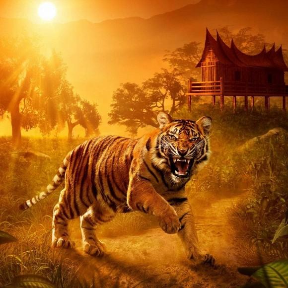 Nửa đầu tháng 1/2021: 3 con giáp ngập trong may mắn, tiền tỷ chui vào túi, muốn nghèo cũng khó-2