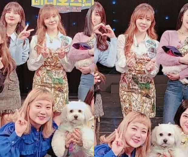 Tiffany cắt váy bạo liệt, Sunny lại che chắn kín đáo hết cỡ khi cùng đụng váy hiệu-2