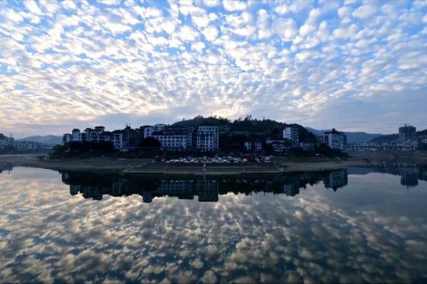 Hiện tượng đầu cá lóc nở bông hồng khiến dân tình xôn xao-3