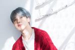 Jimin BTS đăng dòng trạng thái khó hiểu và sự thật thương tâm phía sau-6