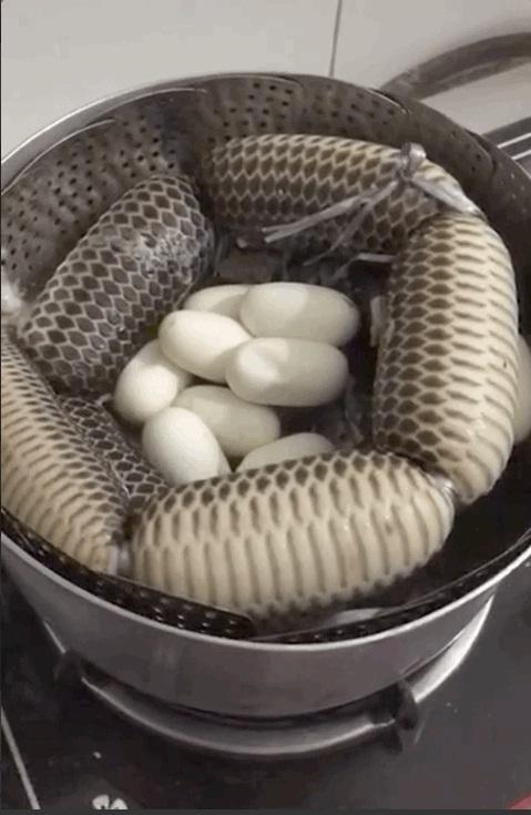 Vừa mở vung nồi, thanh niên ngất tại chỗ trước ổ trứng kèm thịt rắn nhồi siêu to khổng lồ-1