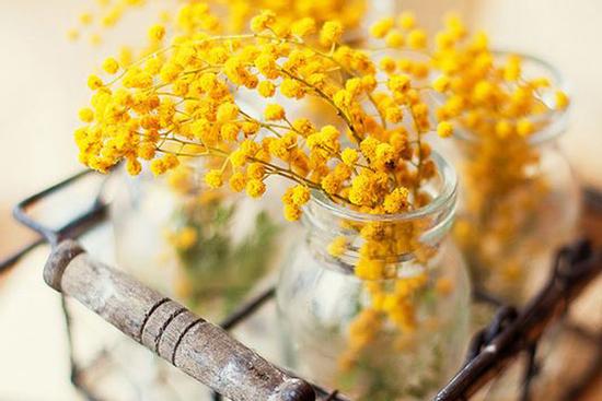 Tử vi 12 cung hoàng đạo thứ Ba ngày 29/12/2020: Song Tử lười biếng, Ma Kết chín chắn