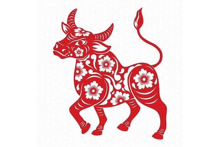 Tử vi Tân Sửu 2021: 3 con giáp vướng hạn tam tai, ngồi không cũng gặp họa-1