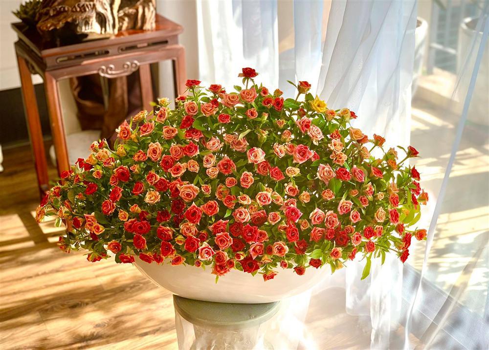 Học lỏm cách cắm hoa thược dược tạo hình chim công chuẩn 10 điểm của mẹ Hà Nội-9