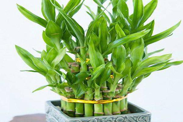 Giữ khư khư 4 thứ này khiến gia đình mất lộc, càng sống lâu càng xui xẻo-3