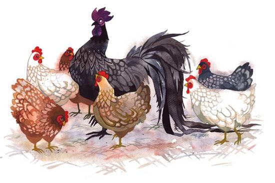 Tử vi người tuổi Dậu năm 2021: Vượng vận quý nhân, sự nghiệp thăng tiến