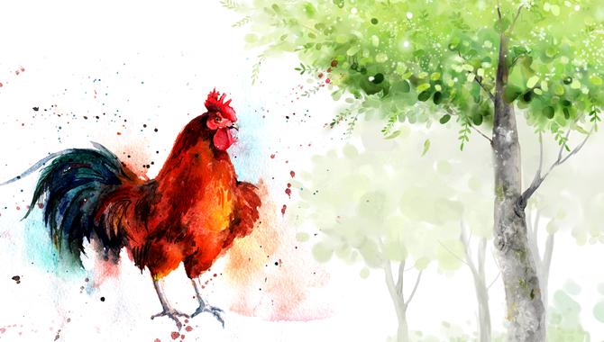 Tử vi người tuổi Dậu năm 2021: Vượng vận quý nhân, sự nghiệp thăng tiến-1