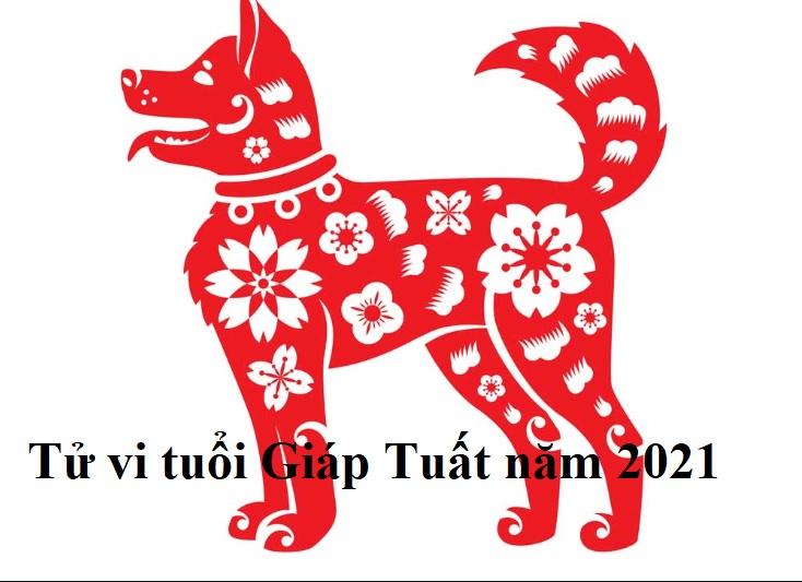 Tử vi người tuổi Tuất năm 2021: Sự nghiệp gặp nhiều biến động, trong họa có phúc-4
