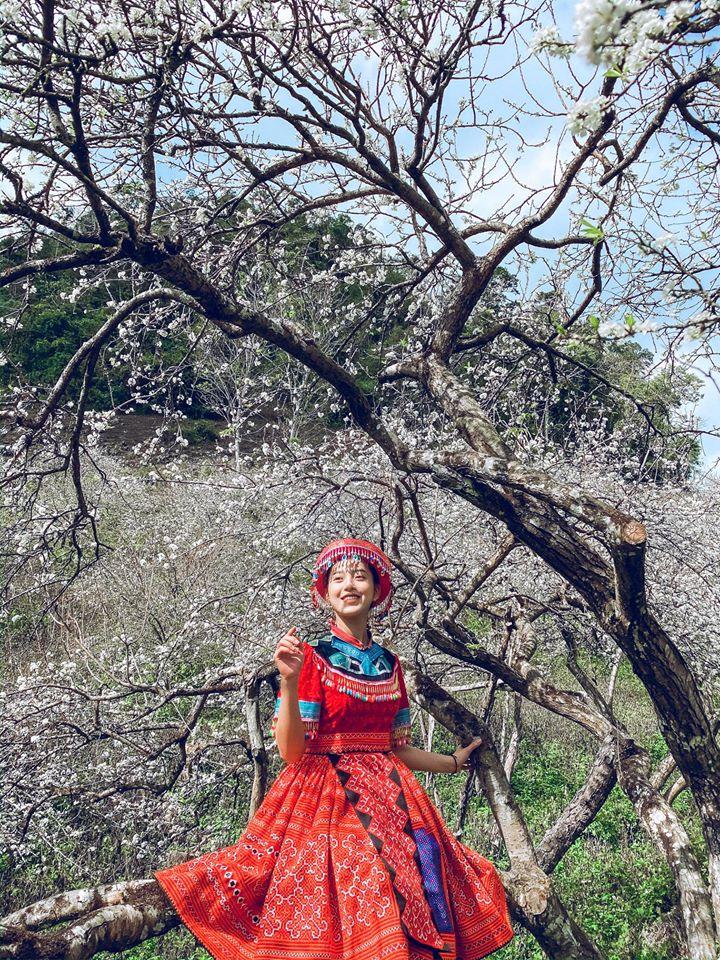 Những điểm check-in hoa mận trắng nở cực đẹp ở Mộc Châu vào mùa này-1