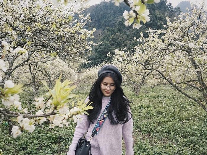 Những điểm check-in hoa mận trắng nở cực đẹp ở Mộc Châu vào mùa này-7