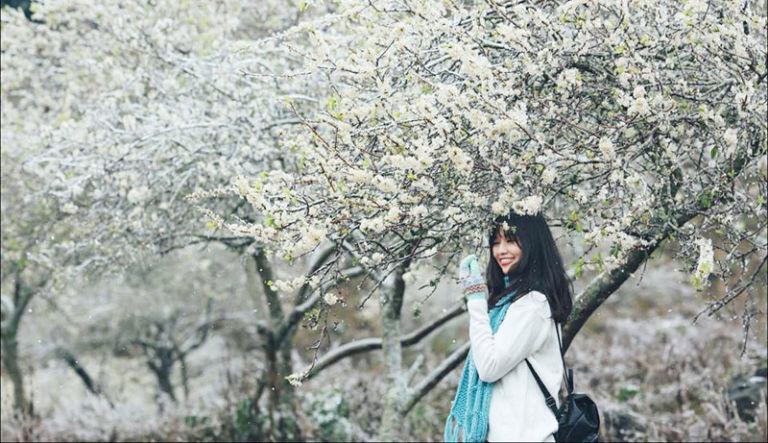 Những điểm check-in hoa mận trắng nở cực đẹp ở Mộc Châu vào mùa này-9
