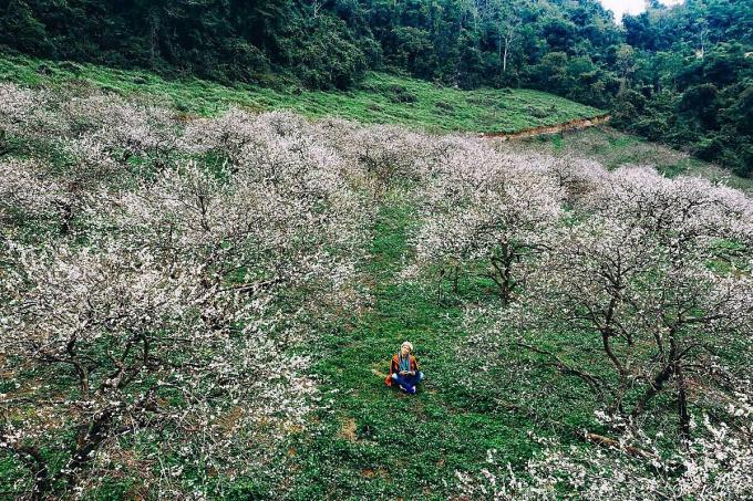 Những điểm check-in hoa mận trắng nở cực đẹp ở Mộc Châu vào mùa này-11