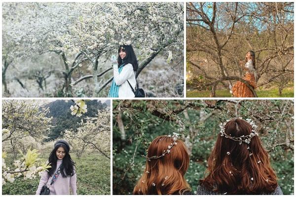 Hai người lạ yêu nhau nhờ cùng đi du lịch trong dịch-4