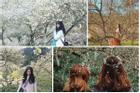 Những điểm check-in hoa mận trắng nở cực đẹp ở Mộc Châu vào mùa này