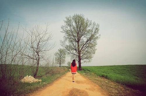 Tử vi ngày cuối cùng của năm 2020 của 12 con giáp có gì biến động, cùng xem nhé!-4