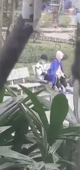 SHOCK: Cặp đôi mặc đồng phục học sinh nhún nhảy trên ghế đá công viên-1