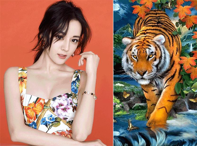 Đúng ngày cuối cùng của năm 2020 những con giáp này nhận tin vui bất ngờ-1