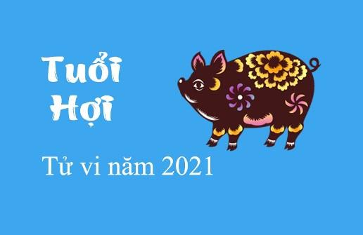 Tử vi người tuổi Hợi năm 2021: Bứt phá để thành công ngoạn mục-3