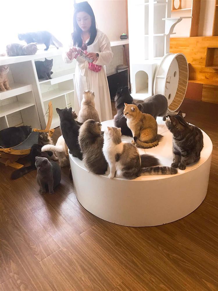 Nhất định phải ghé qua 3 quán cafe dành cho những ai yêu boss ở Đà Lạt-1