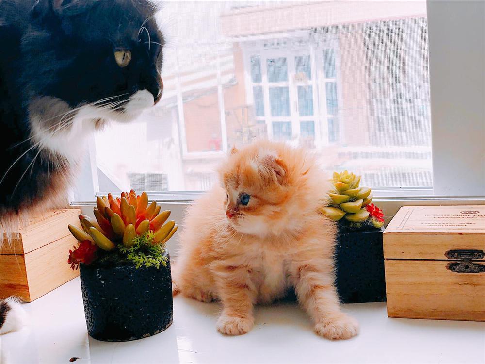 Nhất định phải ghé qua 3 quán cafe dành cho những ai yêu boss ở Đà Lạt-4