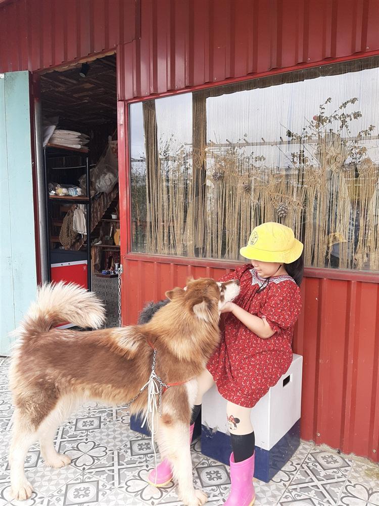 Nhất định phải ghé qua 3 quán cafe dành cho những ai yêu boss ở Đà Lạt-10