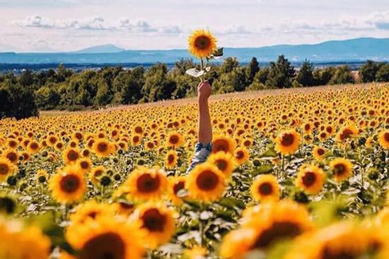 Tử vi 12 cung hoàng đạo Chủ nhật ngày 3/1/2021: Bạch Dương thực tế, Bảo Bình bất ổn