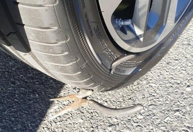 Những pha thử thách sức chịu đựng của con người, ai dễ tính cũng phải cảm thấy ức chế-7