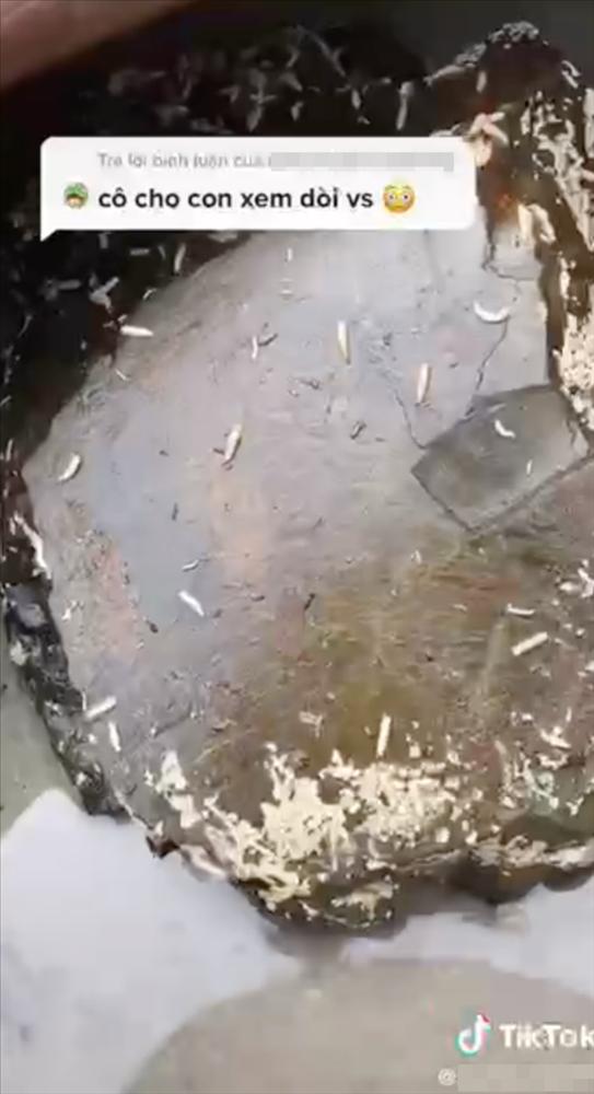 Nhìn hũ mắm chứa đàn dòi bò ngoe nguẩy, người bảo thế mới ngon, kẻ sởn da gà-1