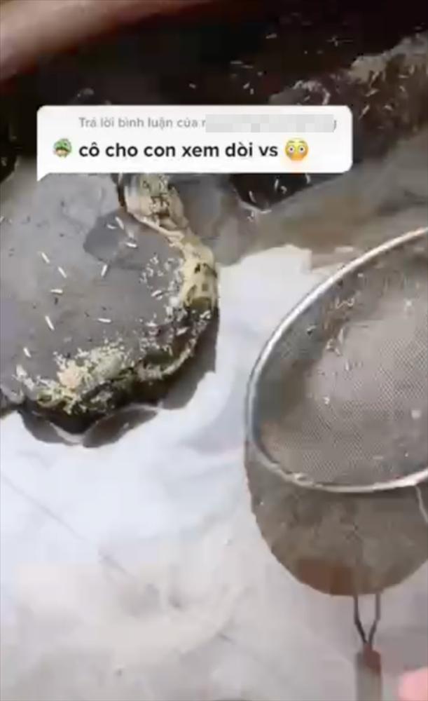 Nhìn hũ mắm chứa đàn dòi bò ngoe nguẩy, người bảo thế mới ngon, kẻ sởn da gà-2