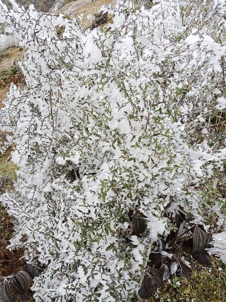 Thử một lần chịu rét để ngắm những thiên đường băng tuyết cực đẹp ở Việt Nam-6