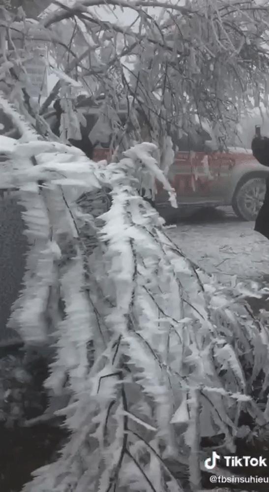 Thử một lần chịu rét để ngắm những thiên đường băng tuyết cực đẹp ở Việt Nam-8