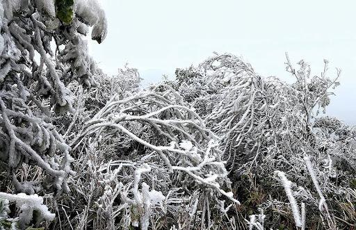 Thử một lần chịu rét để ngắm những thiên đường băng tuyết cực đẹp ở Việt Nam-10