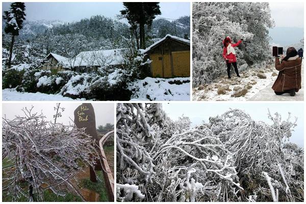 Tuyết rơi dày là lúc những nhà điêu khắc ra đời-11