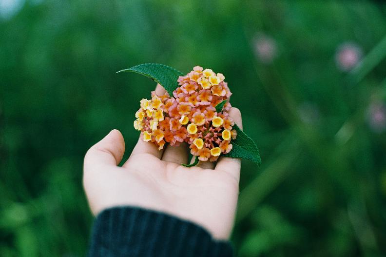 Tử vi thứ Ba ngày 5/1/2021 của 12 con giáp: Dần tình yêu hanh thông, Sửu cần bình tĩnh hơn-2