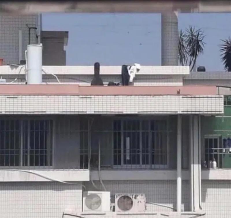 Đang đàn hát, cặp đôi bất ngờ lột đồ diễn cảnh 18+ trên sân thượng-2