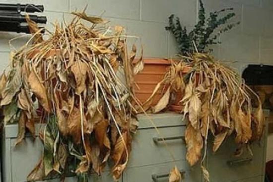 Giữ khư khư 4 thứ này khiến gia đình mất lộc, càng sống lâu càng xui xẻo